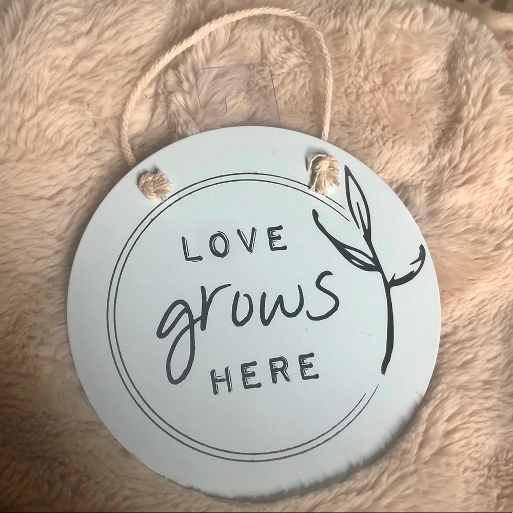 2/$15 Love Grows Here Metal Sign